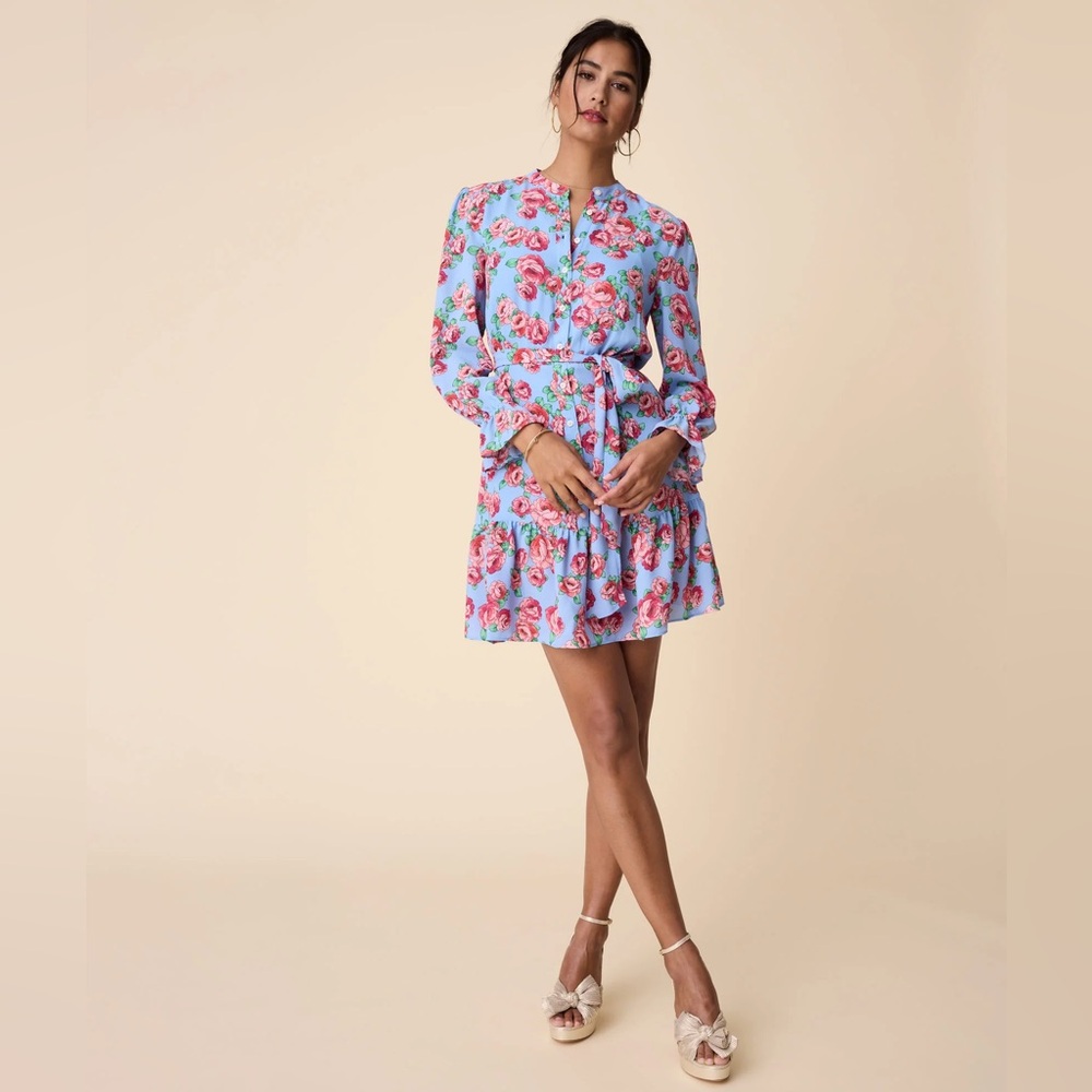 UNTUCKit Band Collar Floral April Long Sleeve Tie Waist Buttons Mini Dress 10